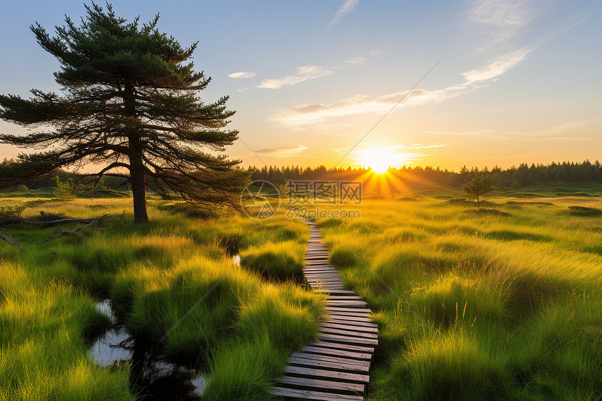 能碳咨询和评估以及CCER核证开发与辅导